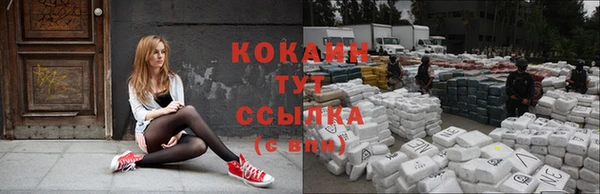бошки Бронницы