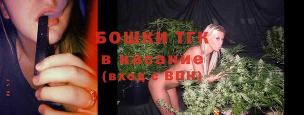 ALPHA PVP Бородино