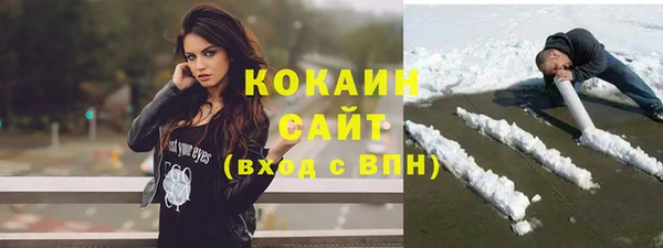бошки Бронницы