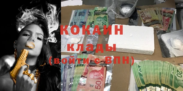 бошки Бронницы